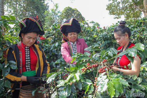 Bứt phá từ nội lực