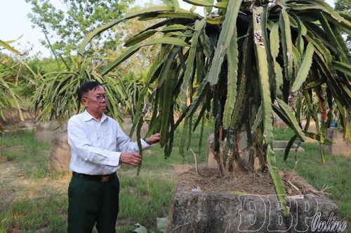 Gương sáng từ chiến trường đến quê hương