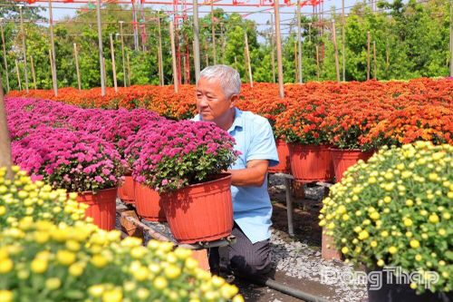 Khi nông nghiệp 'kể chuyện'