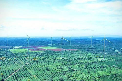 Đánh thức miền di sản xanh Bàu Cạn