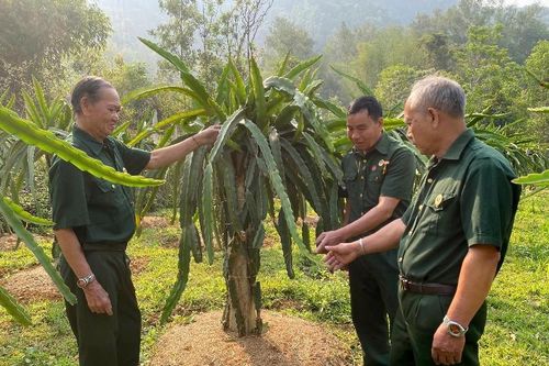 Ký ức không quên, tiếp bước dựng xây quê hương