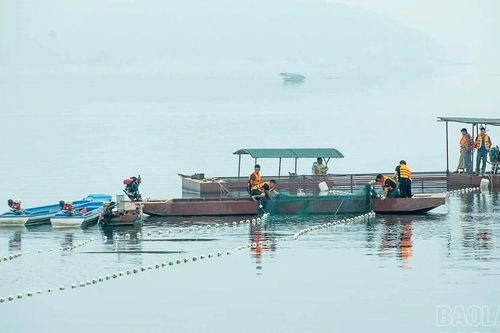 Đánh thức tiềm năng nuôi thủy sản trên các lòng hồ tại Lào Cai