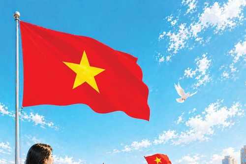 Hoa loa kèn trong ngày vui đại thắng