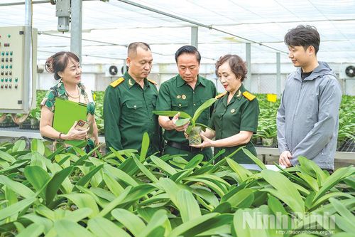 Phát huy truyền thống lịch sử hào hùng của Đại thắng mùa Xuân năm 1975 trong xây dựng quê hương, đất nước