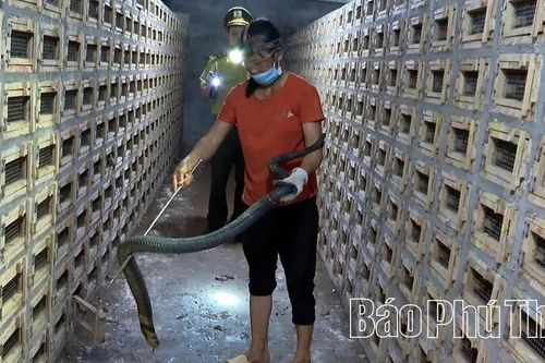 Quản lý chặt chẽ hoạt động nuôi nhốt động vật hoang dã