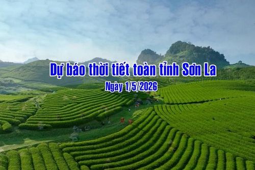 Dự báo thời tiết toàn tỉnh Sơn La ngày 01/5/2026