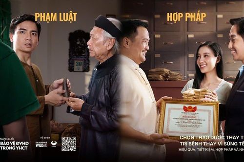 Chiến dịch kêu gọi chọn thảo dược thay vì dùng sừng tê giác