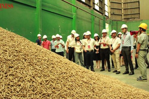 Khơi thông điểm nghẽn để dòng chảy tái chế vận hành thực sự