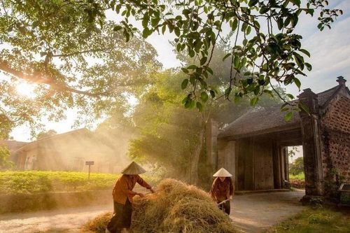 Lạc giữa bóng quê