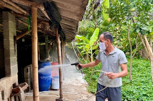 Triển khai các biện pháp ngăn chặn vi rút Lở mồm long móng xâm nhập vào địa bàn tỉnh