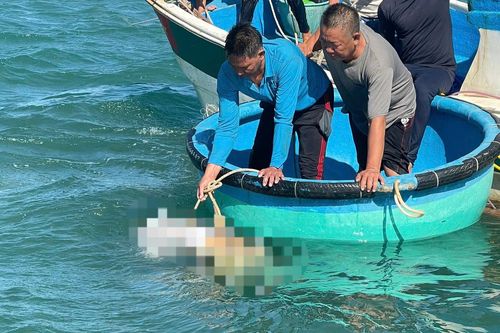 Tìm thấy thi thể thợ hàn mất tích trong vụ cháy tàu ở biển Lâm Đồng