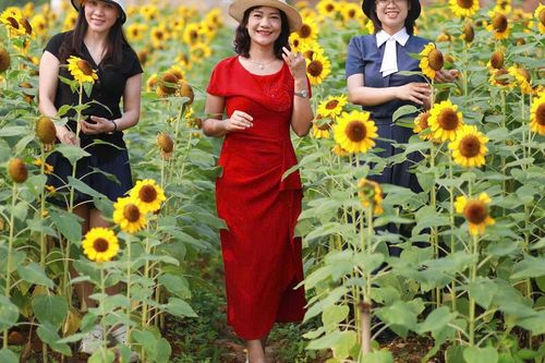 Nghỉ lễ 30/4, xách balo đi đâu cho 'đã', không lo đau ví?