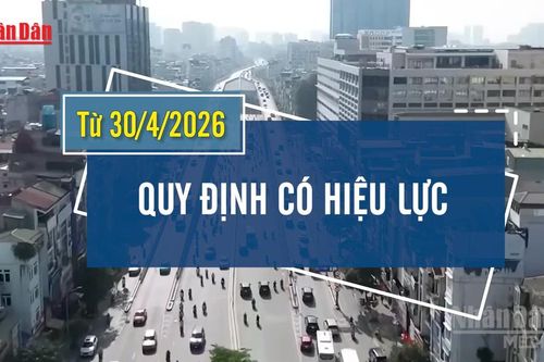 [Video] Xe bán tải, xe hợp đồng dưới 29 chỗ ngồi được lưu thông không hạn chế trong nội đô Hà Nội