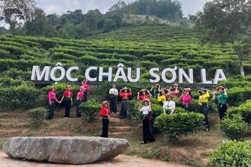 Khu du lịch quốc gia Mộc Châu 'tăng nhiệt' dịp lễ