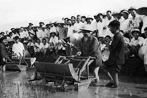 Bác Hồ dạy: 'Lao động là vẻ vang'