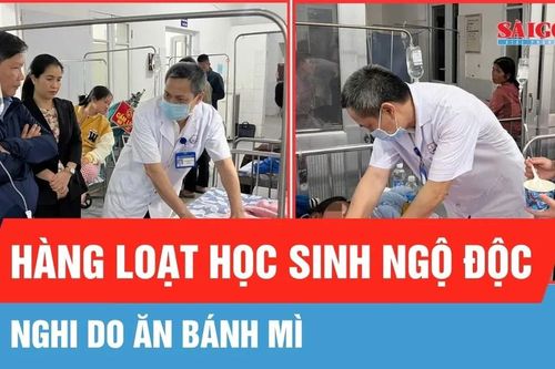Hàng loạt học sinh ở Quảng Trị ngộ độc nghi do bánh mì
