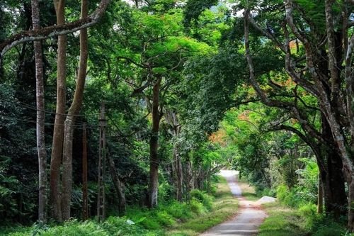 UBND TP Hà Nội sẽ quản lý Vườn quốc gia Ba Vì