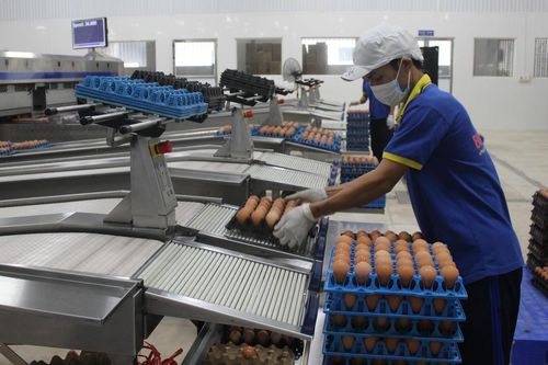 Xây dựng văn hóa công nhân gắn với phát triển văn hóa Việt Nam: Bài 2 - Tháo gỡ 'điểm nghẽn'