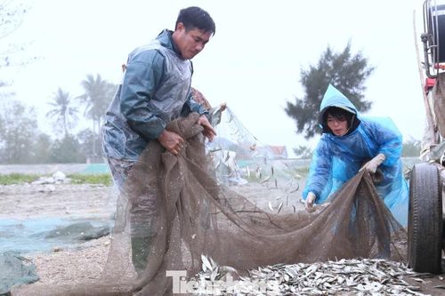 Ngư dân vươn khơi bám biển, kiếm thêm thu nhập dịp nghỉ lễ