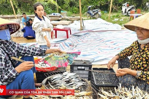 Bám biển xuyên lễ, ngư dân thắng lớn vụ cá
