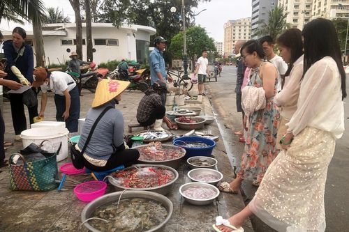 Chợ cá Sầm Sơn - Bản giao hưởng mặn mòi nơi cửa biển
