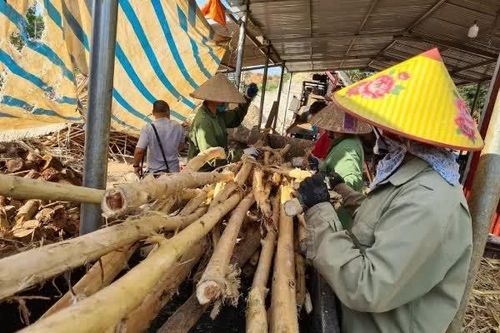 Nhiều hiệp hội phản ánh vướng mắc về thuế khiến áp lực chi phí và dòng tiền tăng