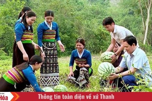 Vị ngọt nơi vùng biên