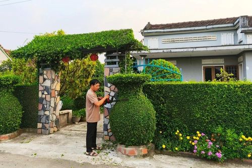 Hàng rào xanh: Điểm nhấn độc đáo của làng du lịch Thuận Nghĩa