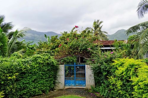 Miên man nhà cũ