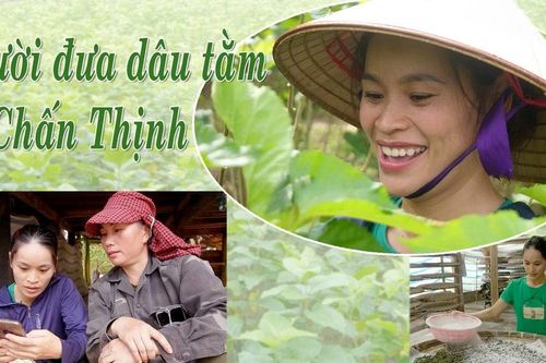 Người đưa dâu tằm về Chấn Thịnh