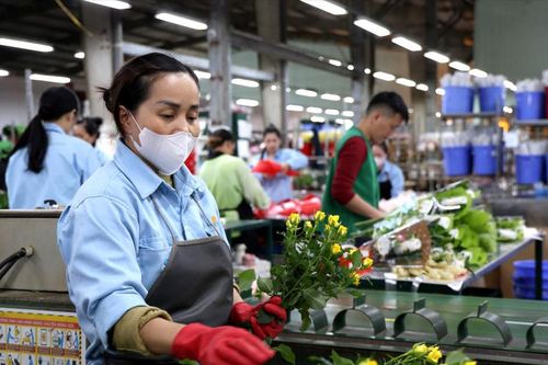 Lao động giữ nhịp tăng trưởng Lâm Đồng