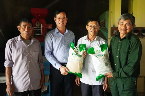 Từ 'Ngọn cờ hồng' đến thương hiệu gạo sạch vươn xa
