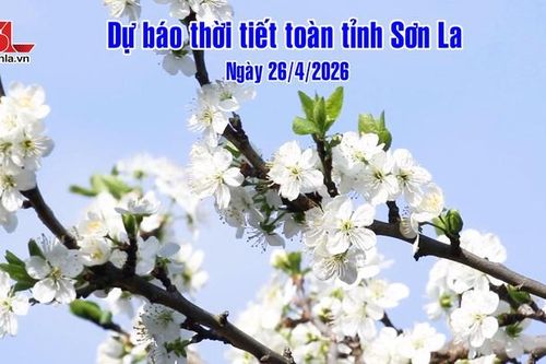 DỰ BÁO THỜI TIẾT TOÀN TỈNH SƠN LA NGÀY 02/05/2026
