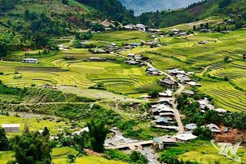 Nông thôn mới: Từ 'đủ ăn' đến 'kiểu mẫu'