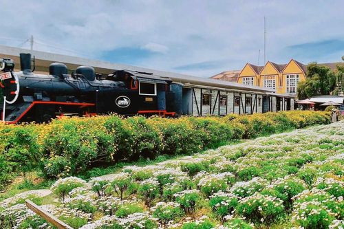 Khám phá Đà Lạt theo cách rất khác: Nghe nhạc, uống cà phê trên tàu cổ
