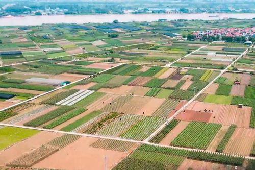 'Thay áo' cho những thửa ruộng