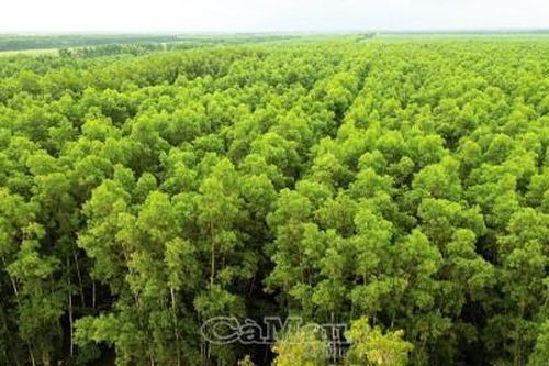 Phê duyệt quy hoạch Khu du lịch sinh thái Vườn Quốc gia U Minh Hạ