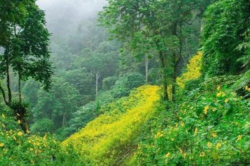 Chuyển giao Vườn quốc gia Ba Vì về UBND thành phố Hà Nội quản lý
