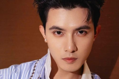 Trần Ngọc Vàng: Từ tổng tài Vì Mẹ Anh Phán Chia Tay đến kẻ phản diện Heo Năm Móng