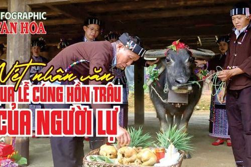 (Infographic) Nét nhân văn qua lễ cúng hồn trâu của người Lự