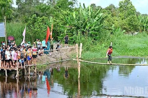 Cà Mau thông qua quy hoạch chuyên đề nhằm đánh thức 'kho báu' xanh ở miệt rừng U Minh