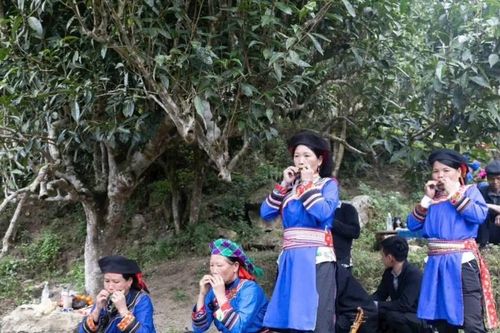 Tiếng khèn lá: Khúc tự tình dưới chân Tây Côn Lĩnh