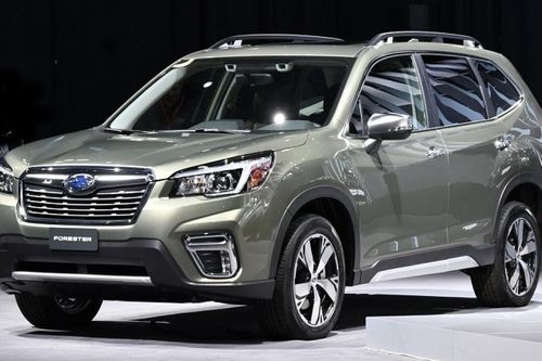 Cập nhật bảng giá xe hãng Subaru mới nhất tháng 5/2026