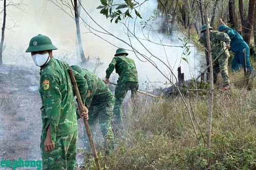 Kịp thời khống chế và dập tắt vụ cháy rừng phòng hộ