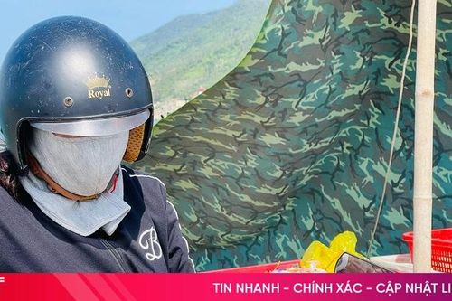 Ghẹ được giá, ngư dân thêm động lực bám biển