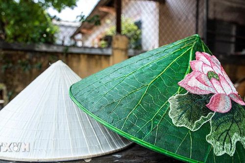 Độc đáo sản phẩm nón lá sen, nón lá bàng xứ Huế