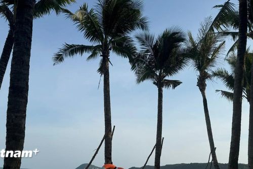 Phú Quốc trở thành điểm đến yêu thích của người dân Hàn Quốc