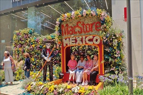 Mexico biến trung tâm thủ đô thành 'bảo tàng hoa' khổng lồ