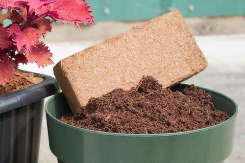 Khai mở giá trị mới cho nông sản Việt từ phụ phẩm nông nghiệp