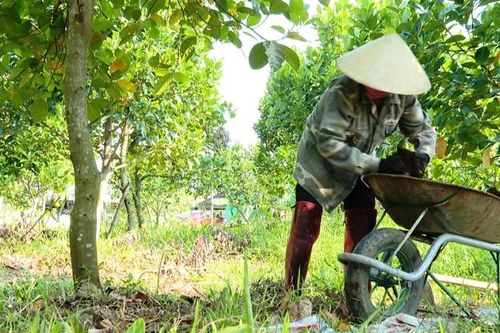Nông nghiệp tuần hoàn - giải pháp hữu hiệu giữa 'bão giá đầu vào'